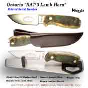 Ontario　RAT-3